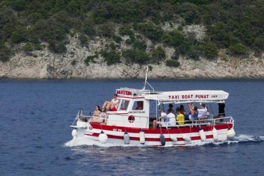 3,5h Wild Bays: Swim & Snorkel with Capt. Bobo (Public)