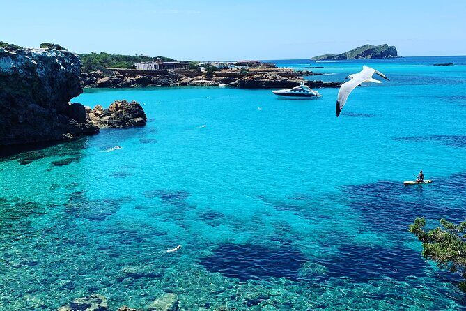 3h Private Cruise + Drinks, Snorkel & Paddle - Analyzing Value and Practicalities