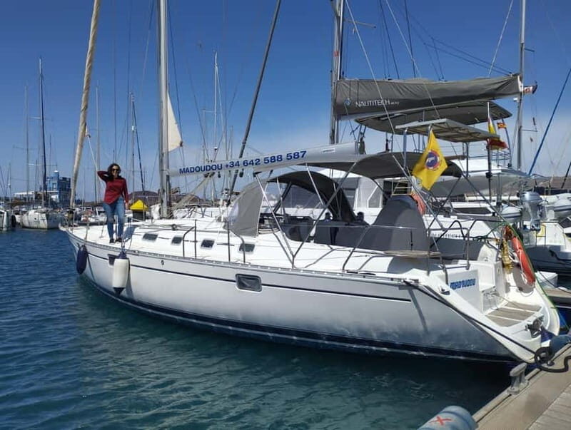 3h Whale Watching Private tour Beneteau Oceanis 440 - Exploring the Experience in Depth