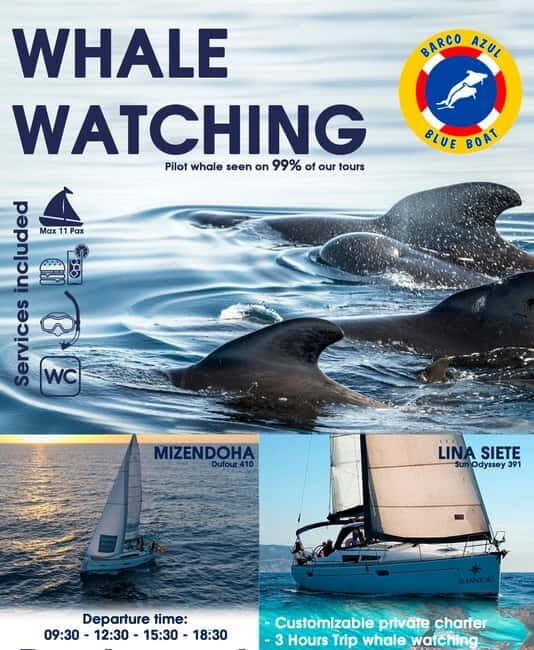 3h Whale watching Share Tour Costa Adeje Lina7 Mizendoha - Who Will Love This Tour?