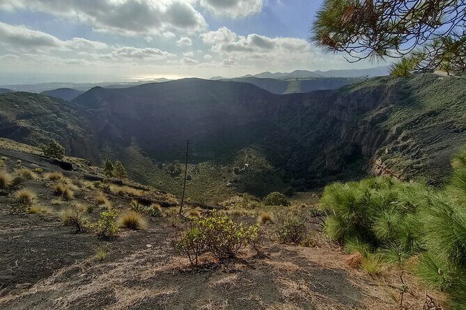4.5 hours Private tour, the best and highlights of Gran Canaria. - Why This Tour Works for Travelers