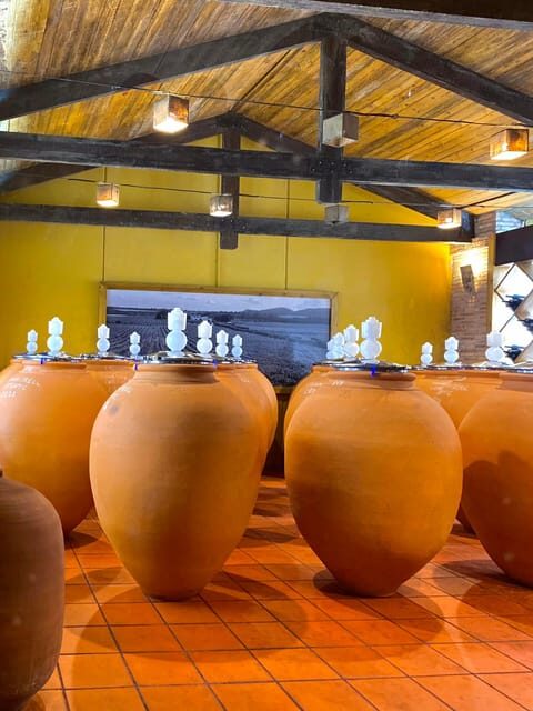 4-days wine trip to Valencia & Requena! 16/9 - 20/9 - 2025 - Discovering Valencia and Requena: A Deep Dive