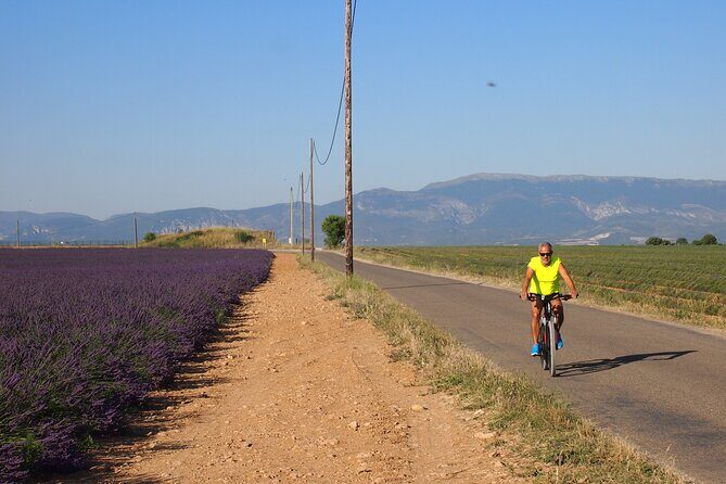 4-Hour Lavender Fields Tour in Valensole from Aix-en-Provence - The Value of the Tour