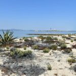 4-Hour Private Boat Tour in Ria Formosa - FAQs