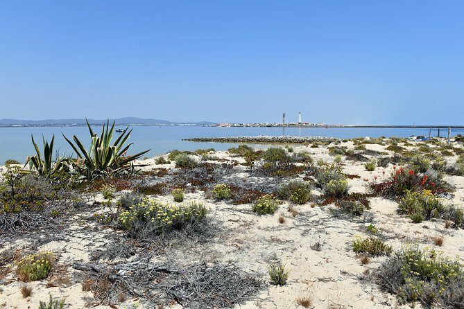 4-Hour Private Boat Tour in Ria Formosa - FAQs