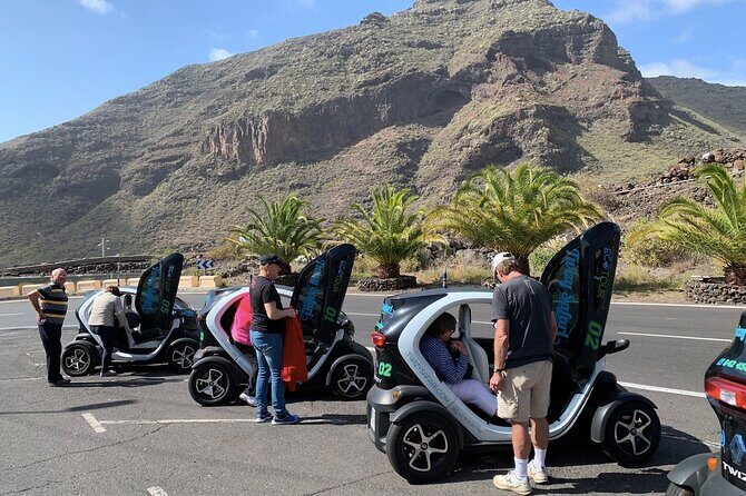 4 Hours Eco Safari Tour with Electric Car in Tenerife - The Details Behind the Experience