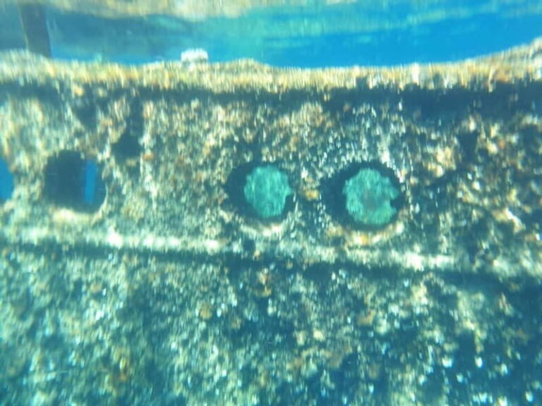 4 Jewels of Zadar, Dugi otok, sunken ship, tunnel - Half day - Who Will Love This Tour?