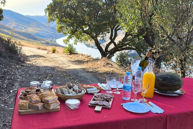 4x4 Adventure in Douro: Wine Tasting, Boat Trip and Lunch - Why This Tour Offers Great Value