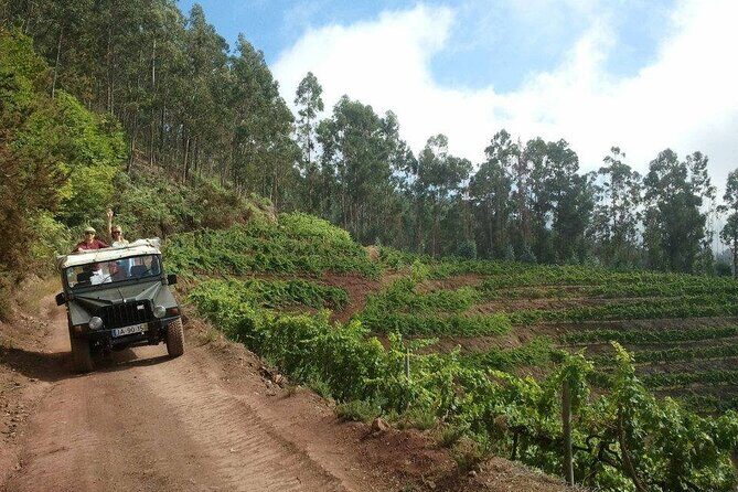 4x4 Safari Half day Poncha, Mountains, Vineyards and Cabo Girão Small group - The Stops and Highlights