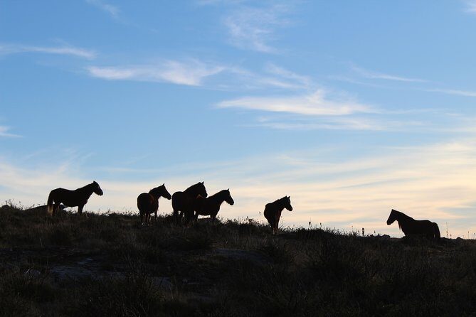 4X4 Tour - Discovering Serra d´ Arga - FAQs