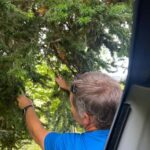 4×4 tour of the Aran Valley - Wildlife, flora and alpine landscapes - FAQ