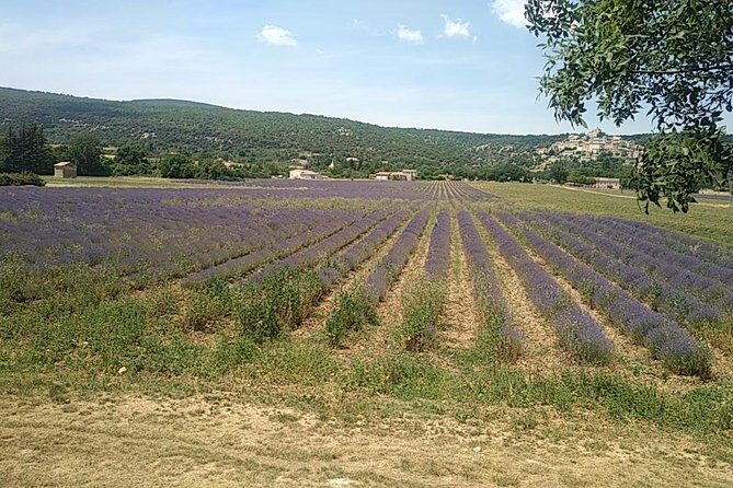 5-Hour Private Sightseeing Tour of the Provence from Marseille in Luxury Car - FAQ
