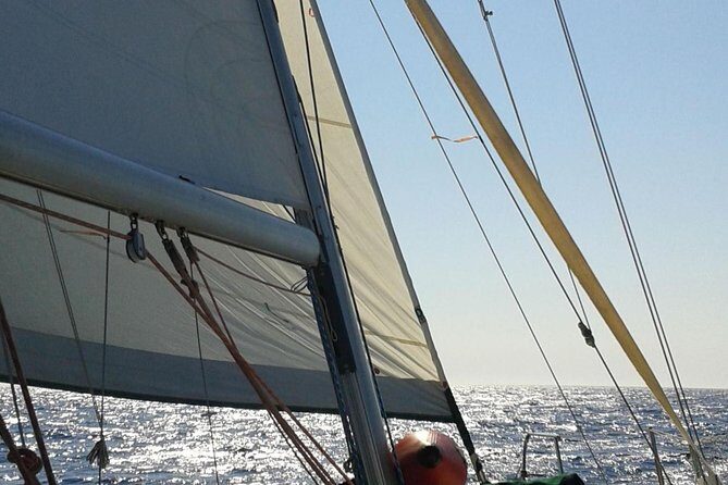 5 hours from Sithonia: Sailing trip secluded coves & Islands - Final Thoughts