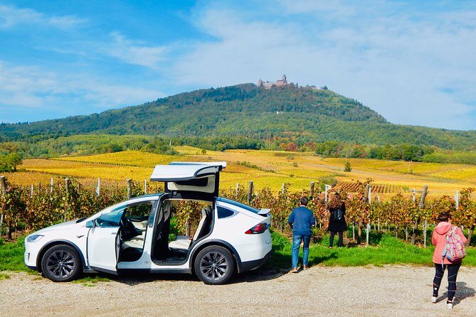 5H00 ALSACE PRIVATE TOUR-Castle, Villages, Wine, Friendly Driver - Who Will Love This Tour