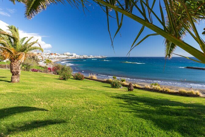 6 Hrs Private Tour In Tenerife - Practical Details and Why They Matter