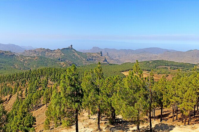 7-Hours Private Tour Volcanoes and Wine Region in the Canary Islands - Practicalities & Value