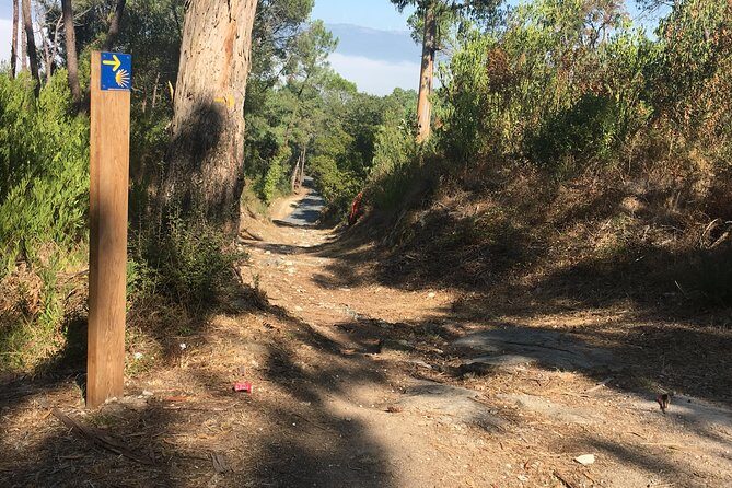 7 nights Coastal Camino Superior Collection - Key Points