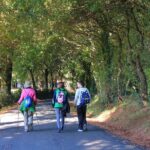 8-Day Camino Frances Pilgrimage Tour from Sarria to Santiago - 2nts Santiago - A Detailed Look at the Camino Frances from Sarria