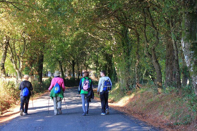 8-Day Camino Frances Pilgrimage Tour from Sarria to Santiago - 2nts Santiago - A Detailed Look at the Camino Frances from Sarria