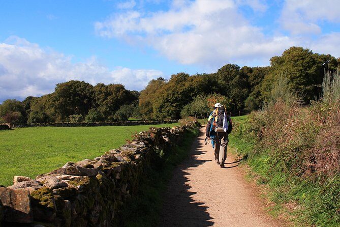 8-Day Camino Frances Pilgrimage Tour from Sarria to Santiago - 6 walking days - What the Reviews Say
