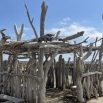 8 Hours Visit to the Camargue and the Salins dAigues-Mortes - Final Thoughts