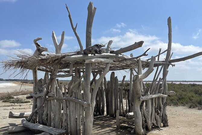 8 Hours Visit to the Camargue and the Salins dAigues-Mortes - Final Thoughts