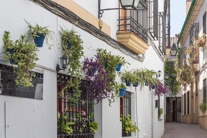 9-day Tour: Madrid, Andalusia, Valencia & Barcelona from Madrid - Exploring the Itinerary in Detail: What to Expect in Each City