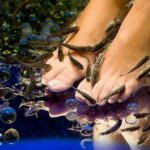 90-Minute Aroma Oil Massage plus 20' min Free Fish Pedi - The Sum Up