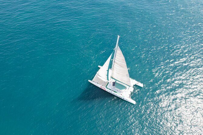 A day at Sea aboard Mundo Marino Catamaran in Valencia - Who Should Consider This Tour?