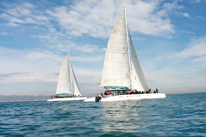 A day at sea from Dénia or Jávea with Barbecue aboard the Catamaran - Who Will Love This Tour?