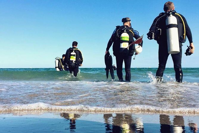 A day at the beach and diving - Exploring the Details: What to Expect from This Coastal Adventure