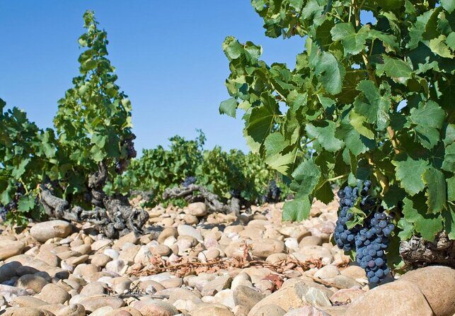 A Day in Provence Small Group Tour from Marseille - What This Tour Means for You