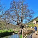 A tour between Cascades and Schist Villages, Piodão - The Itinerary Breakdown: What to Expect at Each Stop