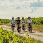 A Tour in Provence in a typical French motorized bike : the Solex - Who Will Love This Tour?