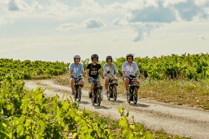 A Tour in Provence in a typical French motorized bike : the Solex - Who Will Love This Tour?