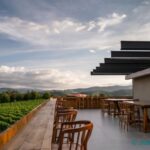 A trip through the Vinhos Verdes of the Basto Region - The Tastings and Tapas