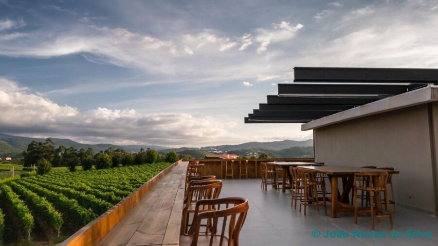 A trip through the Vinhos Verdes of the Basto Region - The Tastings and Tapas
