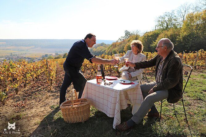 A unique sensory experience in the vineyards - Exploring the Full Experience