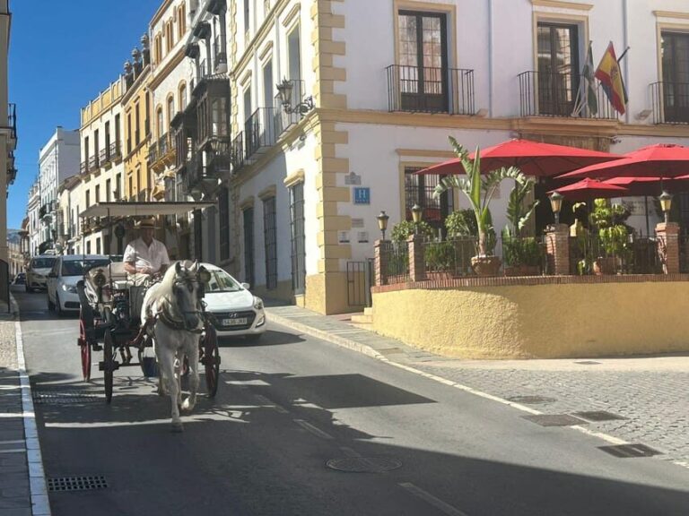 ab Marbella: Private VIP-Tour Ronda incl. Transfer + Tapas - Why Choose This Tour?