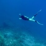 Abades: Guided Snorkeling Tour with Photos - The Marine Life You Might Encounter