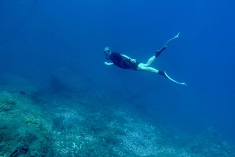 Abades: Guided Snorkeling Tour with Photos - The Marine Life You Might Encounter