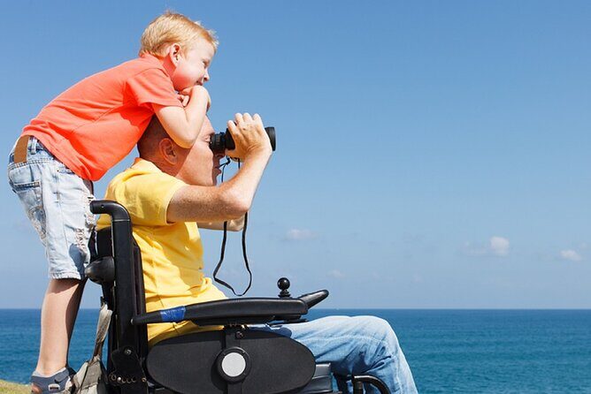 Accessible Tour In Athens, 3 Hours Athens Panorama Shore Excursion - The Experience from Real Travelers