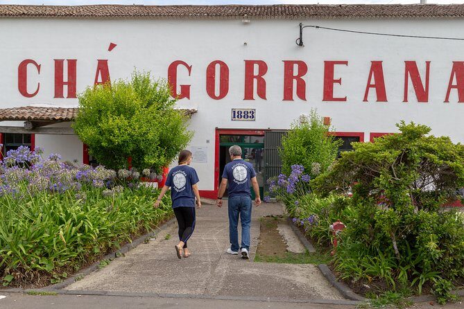 Adapted Van tour - Furnas (Full day) - The Sum Up