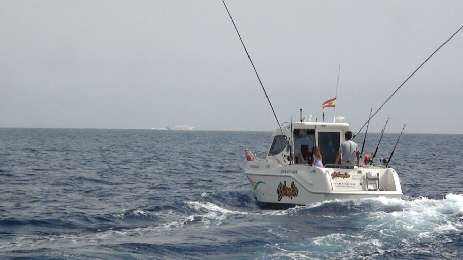 Adeje: 3.5Hour Professional Fishing Experience - The Sum Up