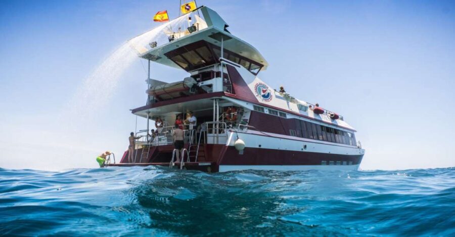 Adeje: Whale and Dolphin Watching Cruise with Lunch and Swim - Detailed Breakdown of the Itinerary