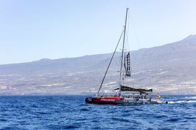 Adults Only Tenerife Freebird Whale Dolphin Catamaran with Lunch - Exploring the Tenerife Whale and Dolphin Cruise in Detail