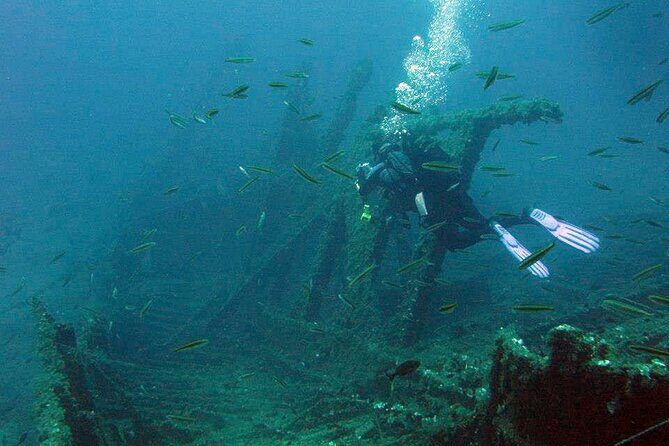 Adventure Dives for certified divers in Nea Makri, Athens - An In-Depth Look at the Experience