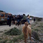 Adventure Safari Tour Secrets of the southern Crete - Transportation and Comfort