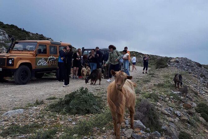 Adventure Safari Tour Secrets of the southern Crete - Transportation and Comfort