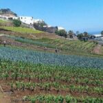 Agriculture Green Tour - Why This Tour Stands Out